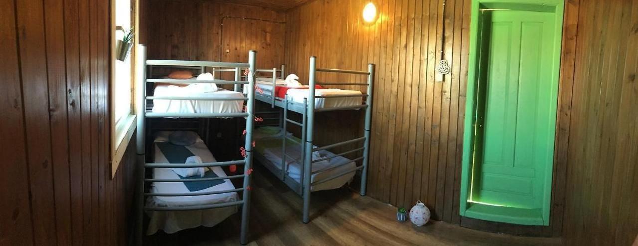 Hostel Flamingo Costinesti Eksteriør billede