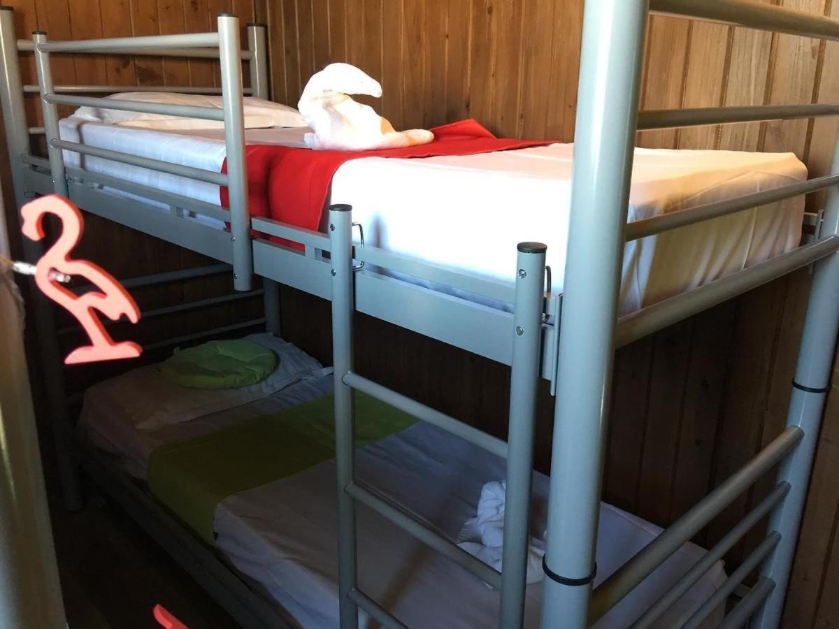 Hostel Flamingo Costinesti Eksteriør billede