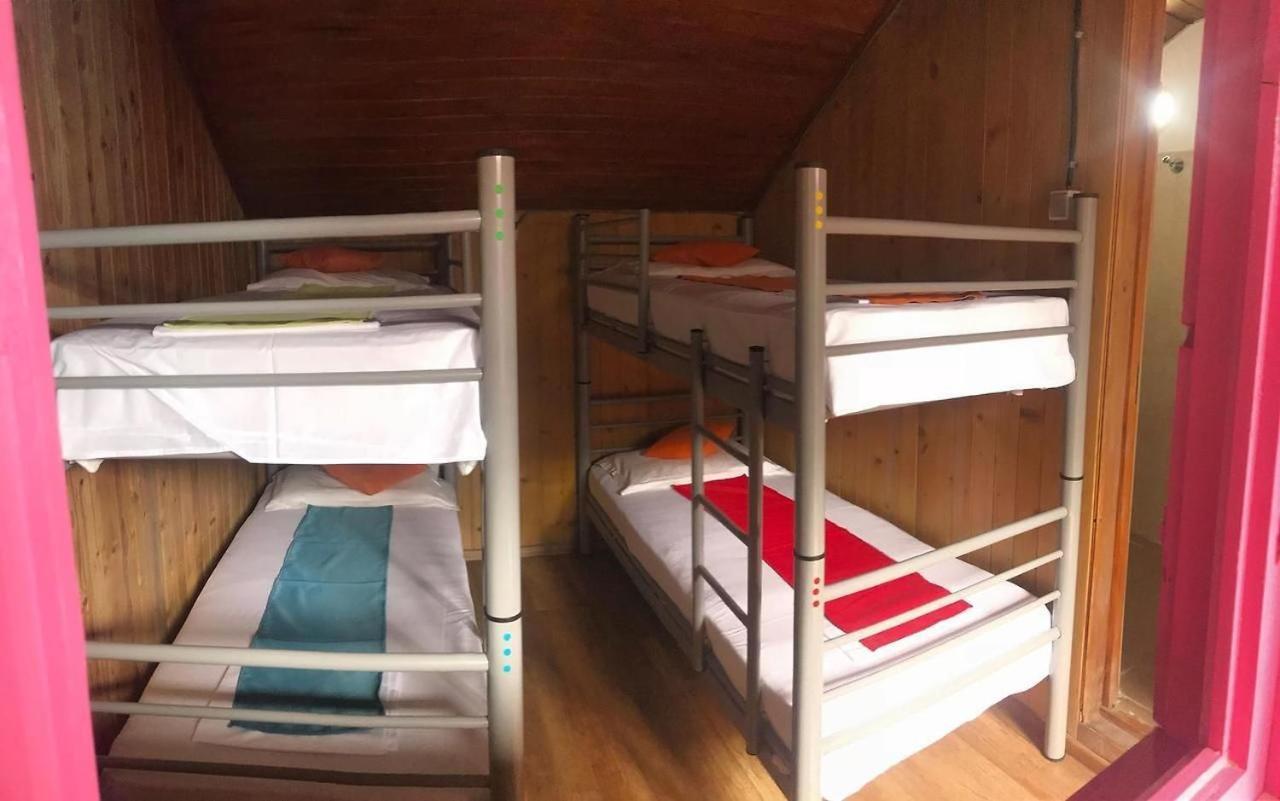 Hostel Flamingo Costinesti Eksteriør billede